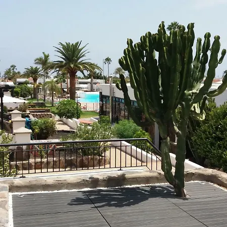 Lovely Maspalomas (Gran Canaria)